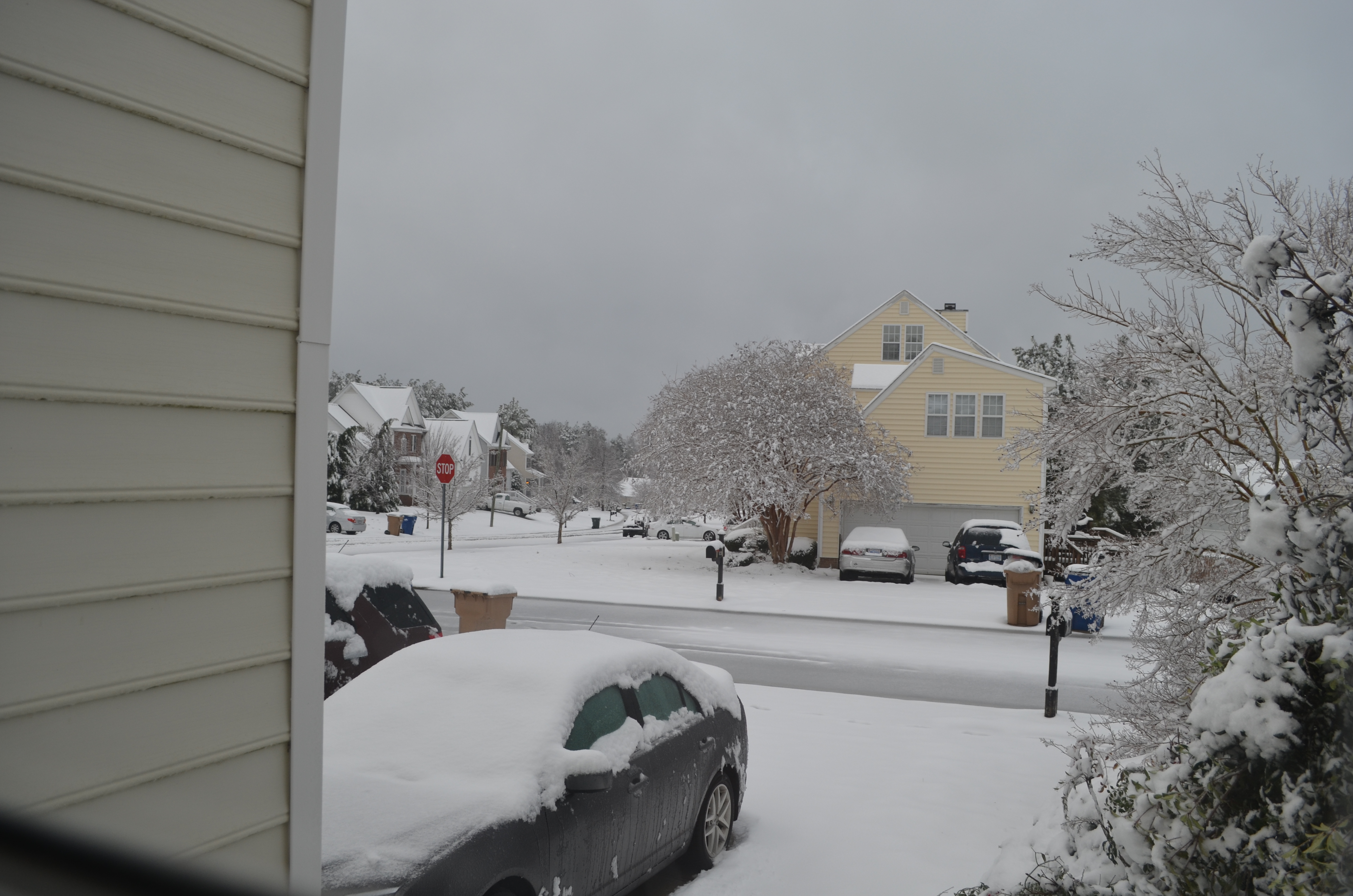 ./2015/03 - Snow/DSC_0411.JPG